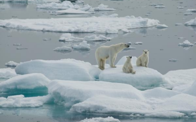 Sustainable Development and Capabilities for the Polar Region